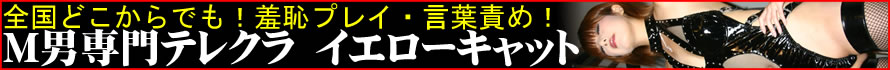 �C�G���[�L���b�g